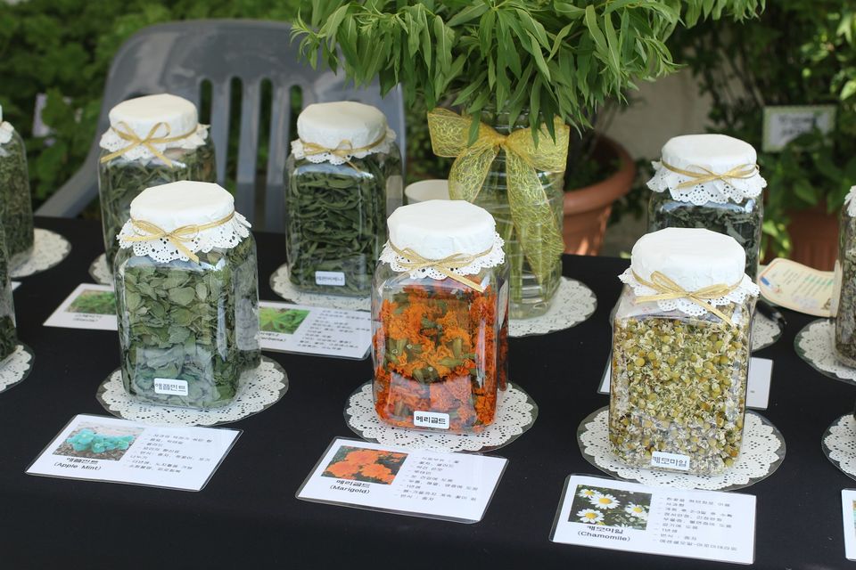 Jars of dried herbs